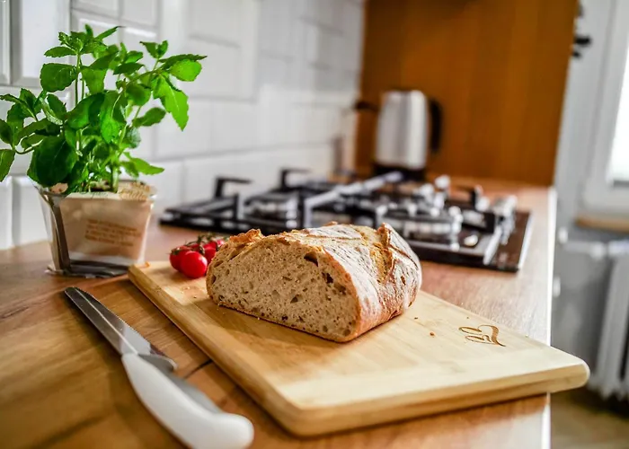Gdynia Wyjatkowy Apartament Przy Lesie By Noclegi Renters